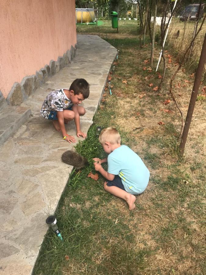 Стаи За Гости Тони Ribarica Esterno foto