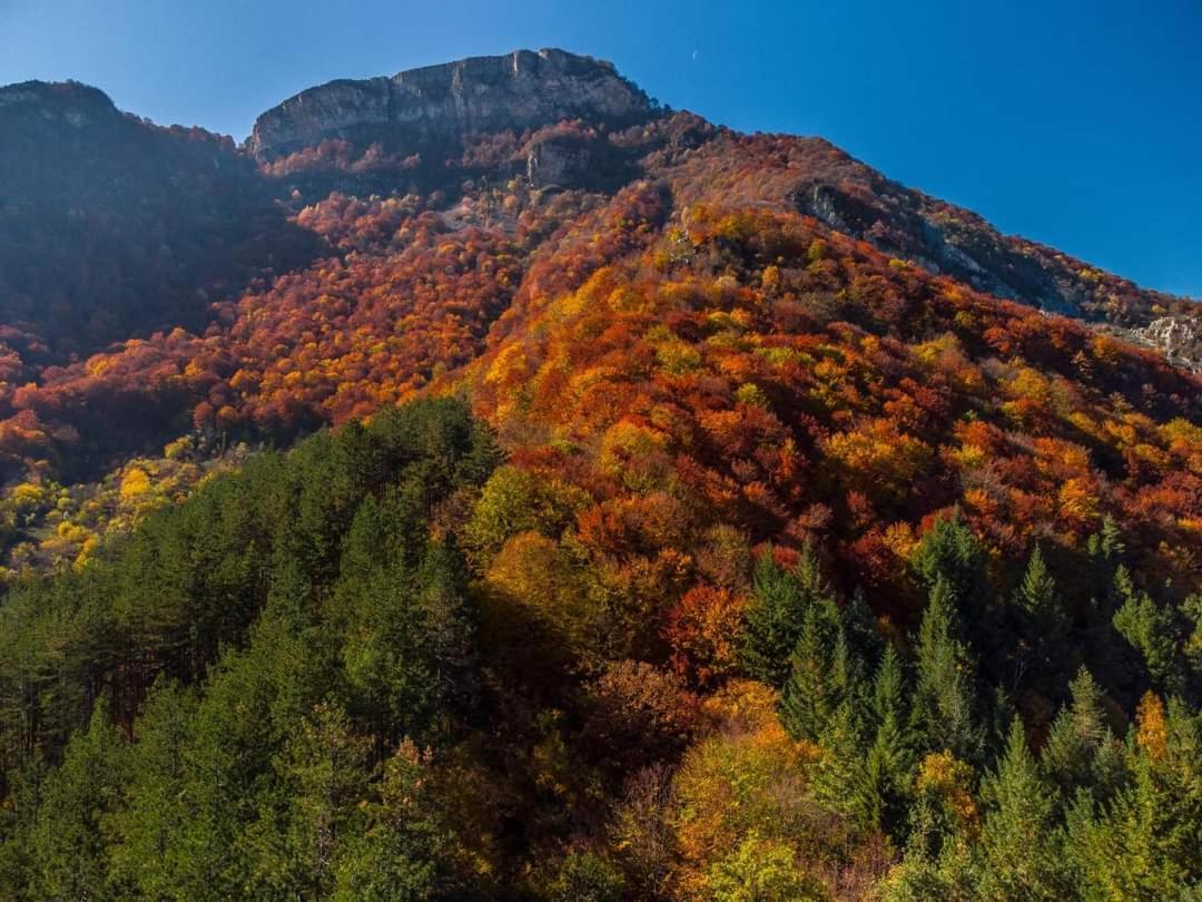 Стаи За Гости Тони Ribarica Esterno foto